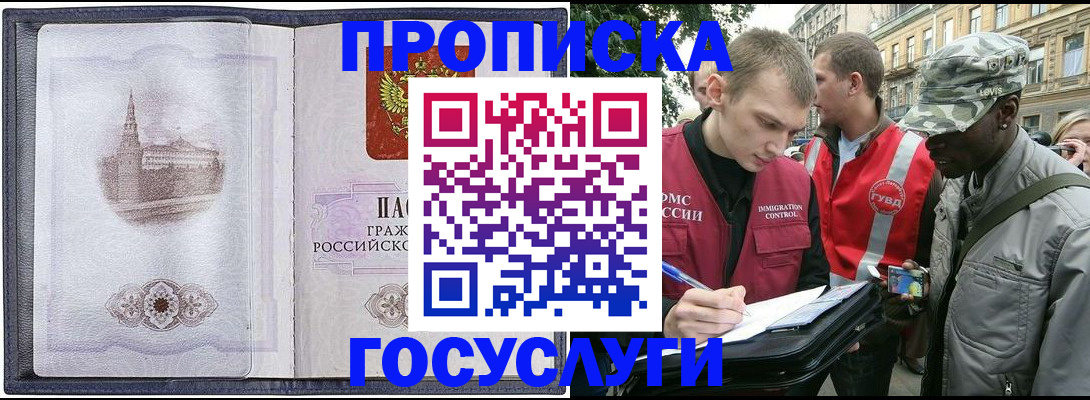 прописка 2025 в Кингисеппе